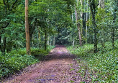Banco National Park