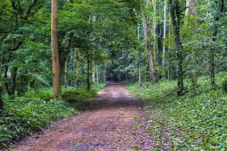 Hotels near Banco National Park