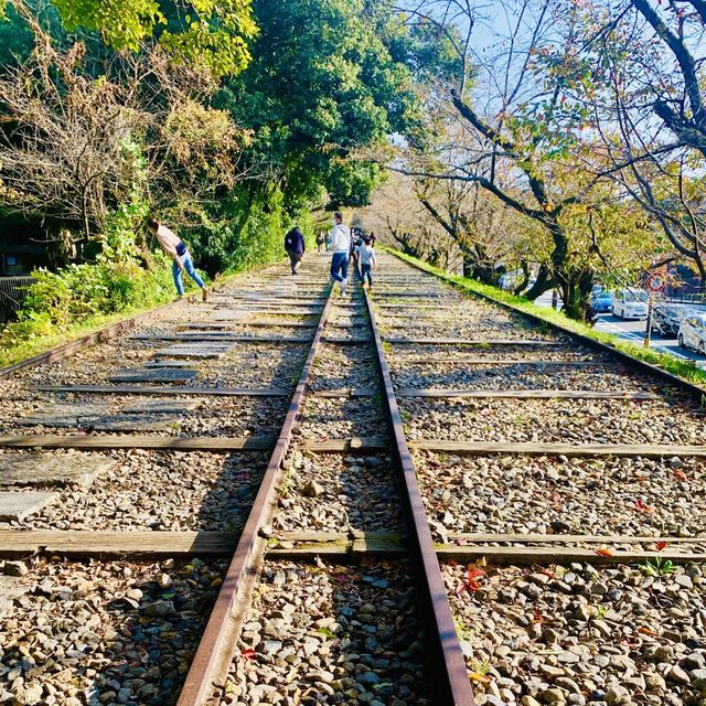 【京都】定番おすすめ散歩コース