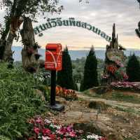 ศูนย์วิจัยพืชสวนเลย จ.เลย

