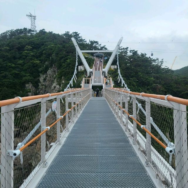 [송도용궁구름다리]