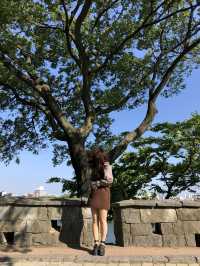 평화로움의 극치, 진주성