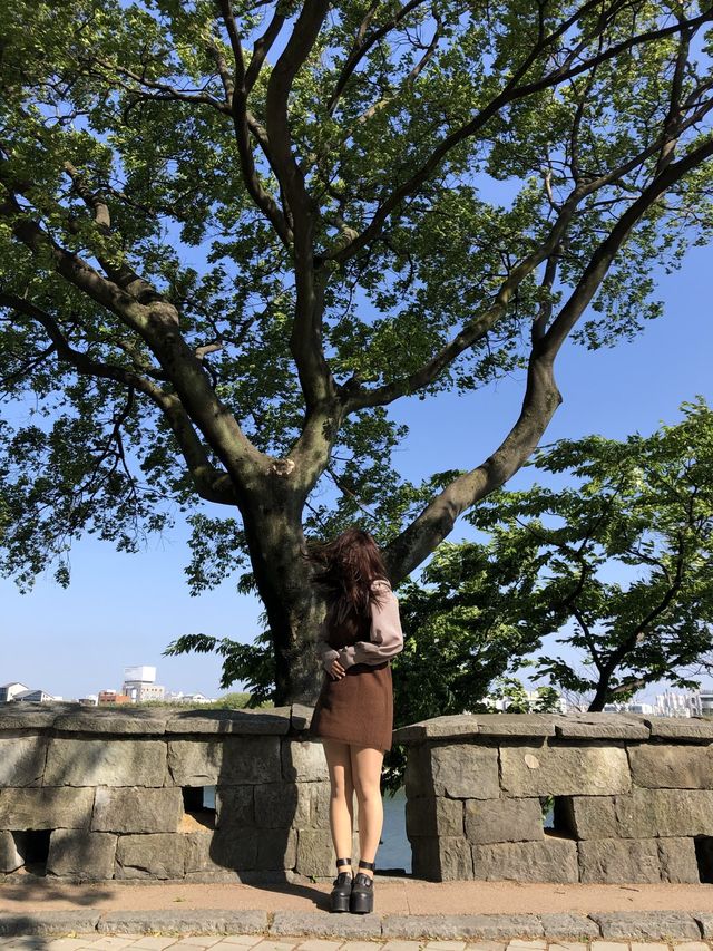 평화로움의 극치, 진주성