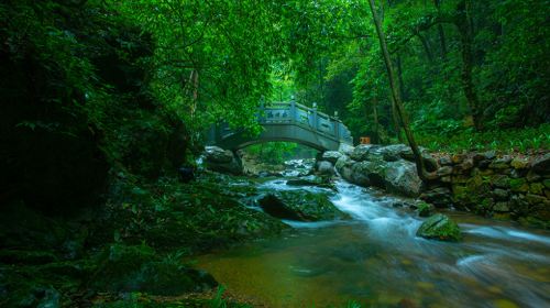 Yangling National Forest Park