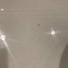 Yi Feng Court User Photo