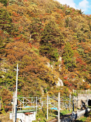 Omoshiroyama Autumn Leaves River Gorge