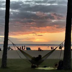 Mai Tai Bar User Photo