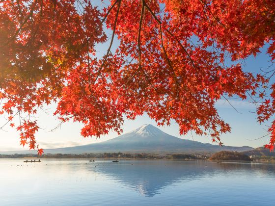 河口湖天上山公園