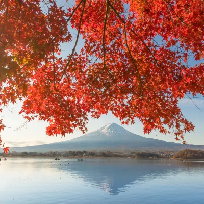 富士河口湖の青木ヶ原樹海周辺のホテル