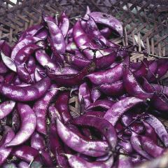 Allongs Restaurant User Photo