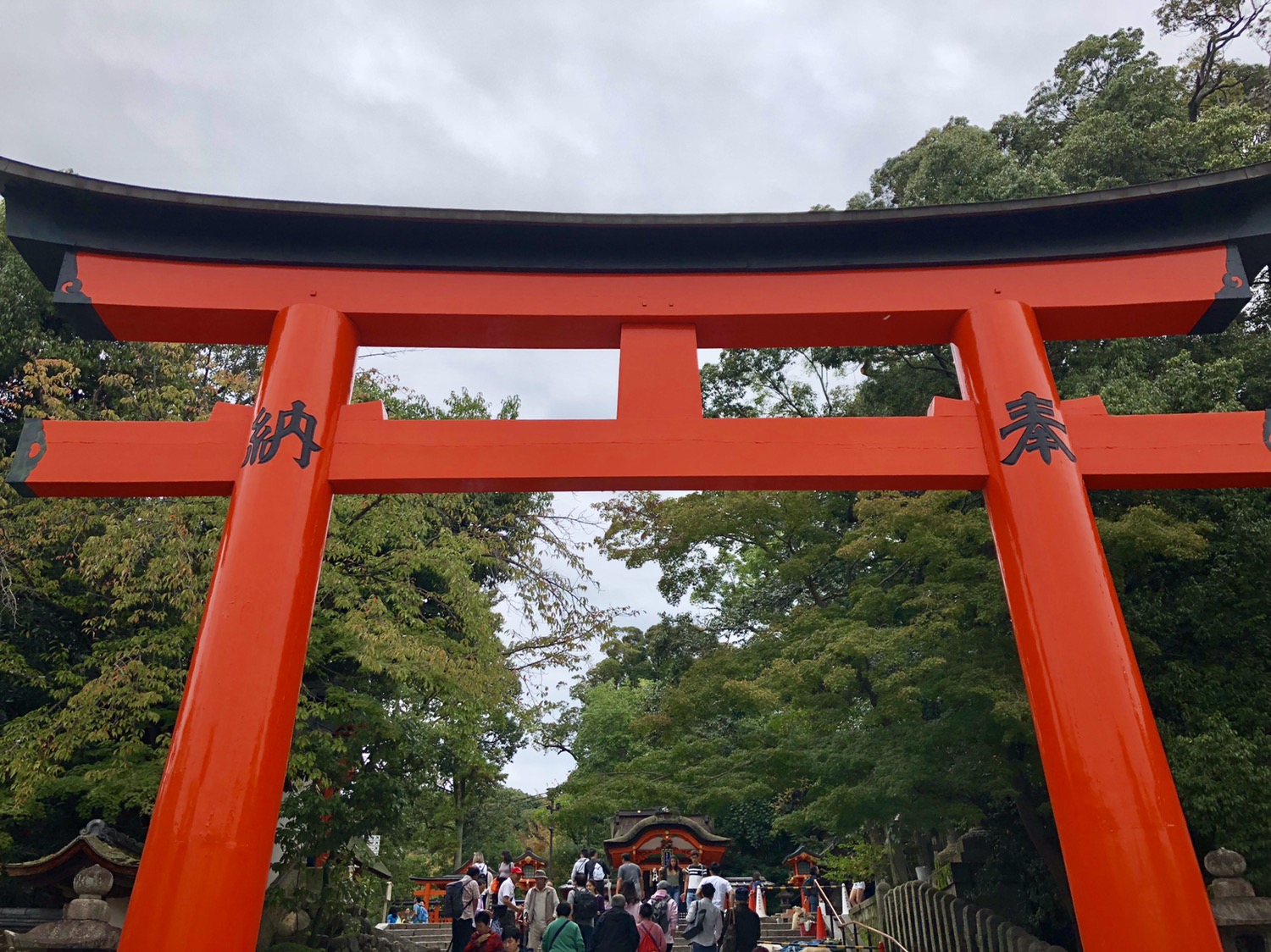 千本鳥居 京都 の旅行レビュー Trip Comトラベルガイド