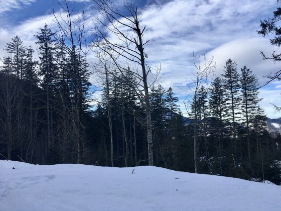 Grouse Mountain Peak