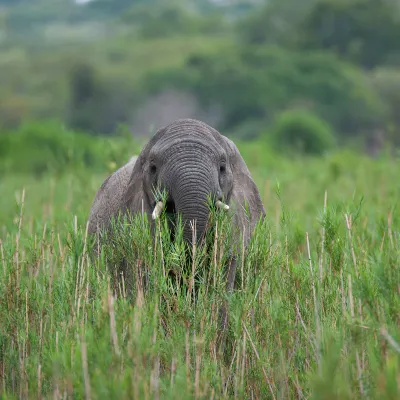 4-звездочные отели в г. Полокван