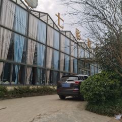 七彩阳光 User Photo