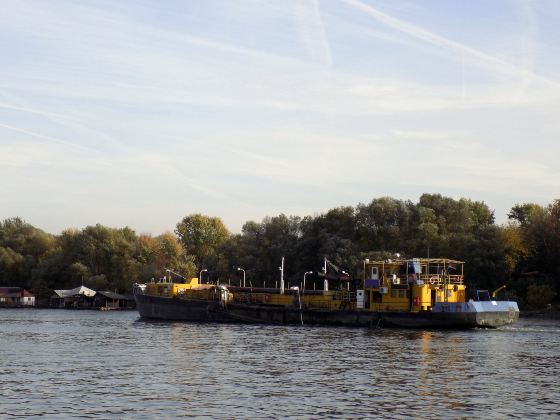 Canals of Amsterdam