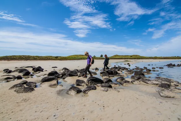 Отели с услугой баром в г. Пуэрто Айора