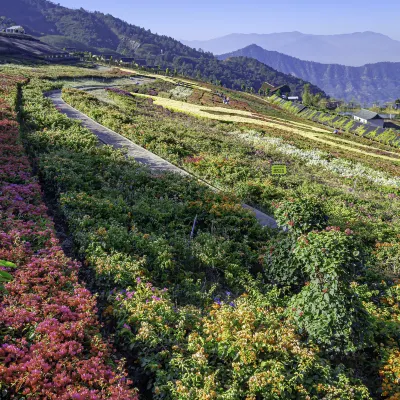 Flug Panzhihua Hangzhou