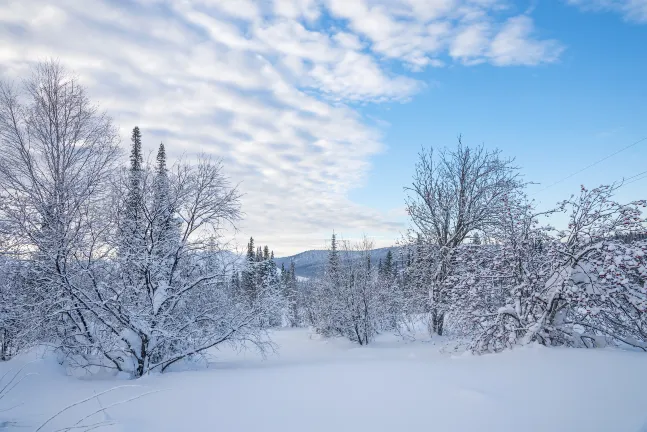 Отели рядом с достопримечательностью «Shikotsu-Toya National Park»