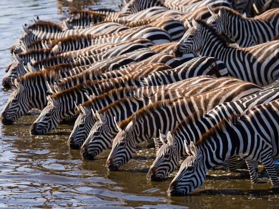 Serengeti National Park