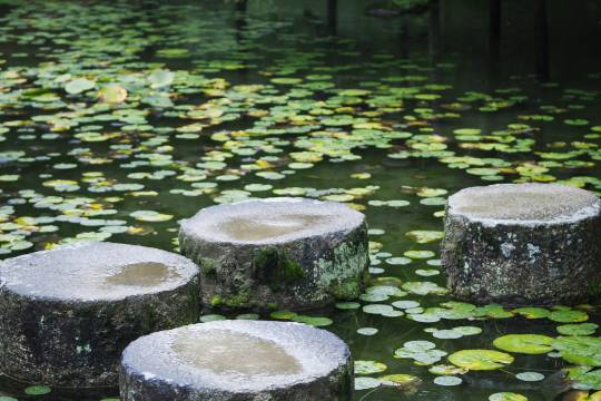 Heian Jingu Shrine + Kinkakuji Temple + Fushimi Inari Taisha Shrine + Senbon Torii + Arashiyama one-day tour