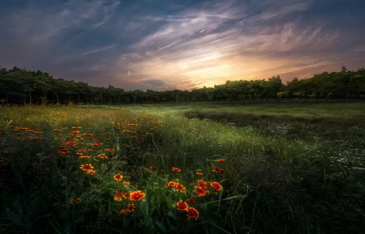Hotels near Zibo Botanical Garden