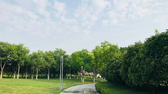 天健湖公园位于郑州高新技术开发区，总占地约900亩，其中水域