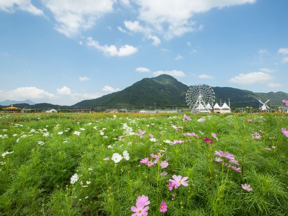 Jianchuan Flower Sea, Jinyun