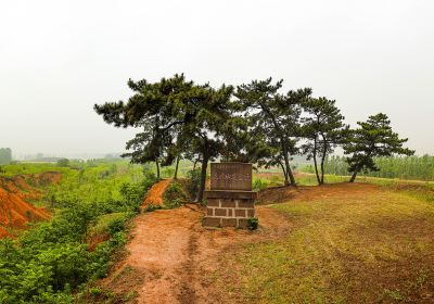 山東郯城馬陵山省級地質公園