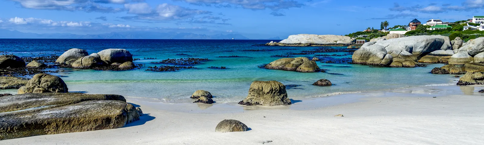 Simon's TownDay tours