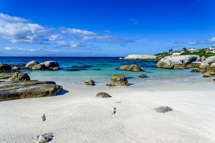 Simons Town