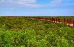 Shankou Mangrove