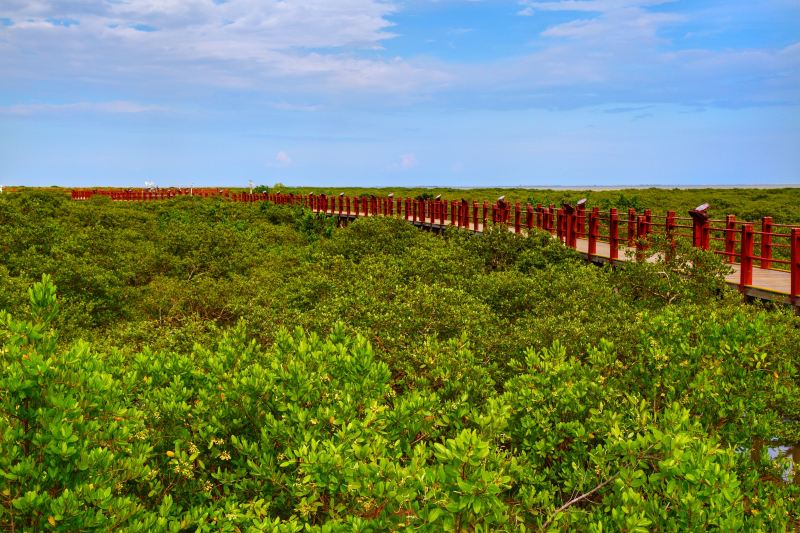 Shankou Mangrove