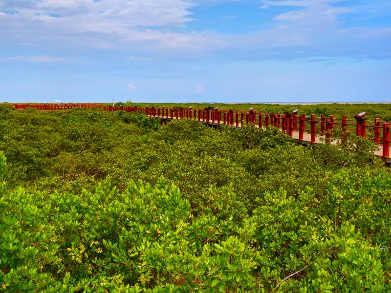 Shankou Mangrove