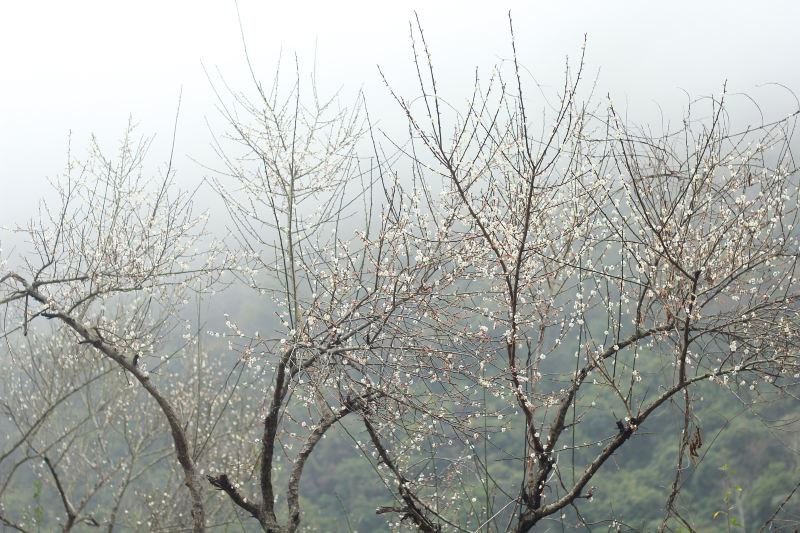 Guangdonglianghua National Forest Park