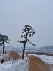 Jeongbukdong Toseong Fortress