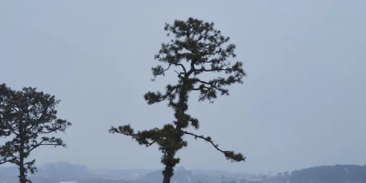 淸州井北洞土城