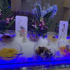 遵义贵州饭店·莲花湖自助西餐厅 User Photo