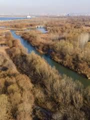 Национальный водно-болотный парк Джизи