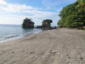 Anse Chastanet Beach