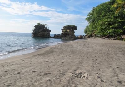 Anse Chastanet Beach