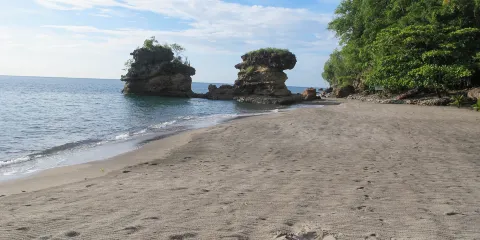 Anse Chastanet Beach and Reef