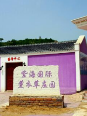 Zihai  Lavender Villa