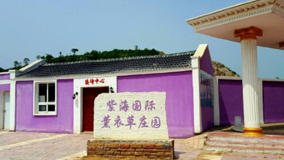 Zihai  Lavender Villa