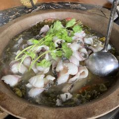 鸿扬苗侗寨石锅鱼(榕江店) User Photo