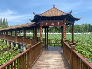 淮河公園