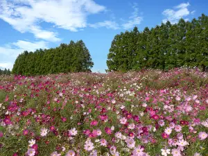 Ikoma Highlands