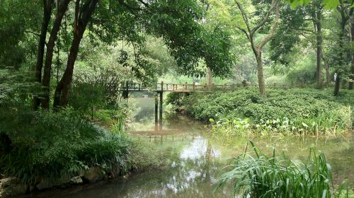 Donghu Wetland Park