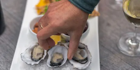 Bangor Wine & Oyster Shed