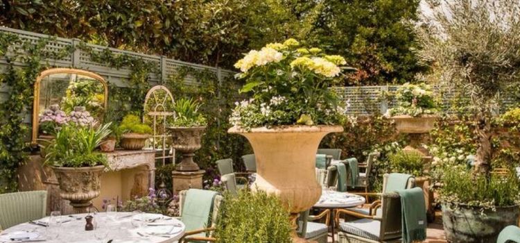 The Ivy Marlow Garden