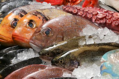 Bigfish Andrássy Seafood Bistro